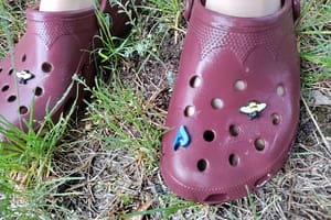 Can You Hike in Crocs?  The Bottom Line