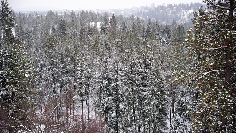 19 Epic Things to Do in Spokane in the Winter: The Ultimate Guide